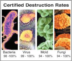 Bacteria, mold, virus, fungi air purifiers for bacteria