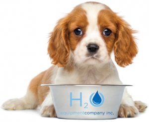 CT Water Treatment Company - Puppy