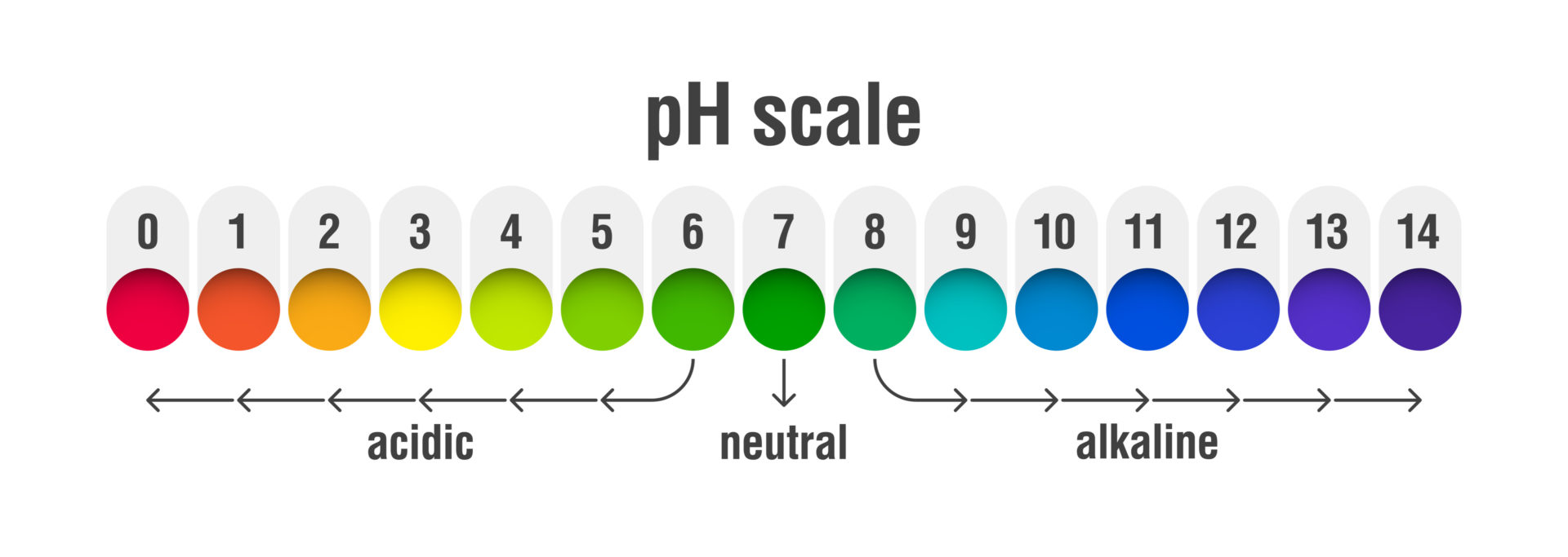 Colored pH Scale